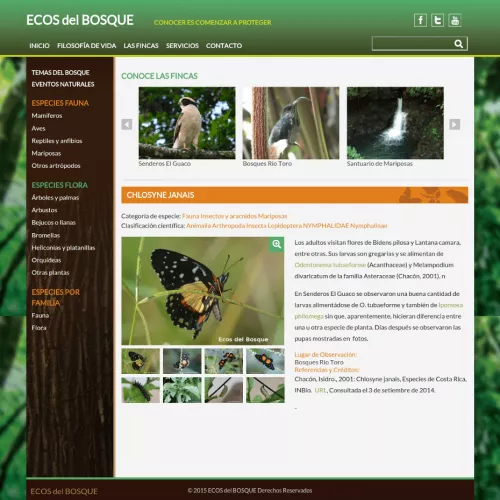 Página de principal de una Especie de Ecos Del Bosque