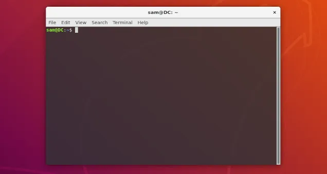 Terminal de Ubuntu Linux